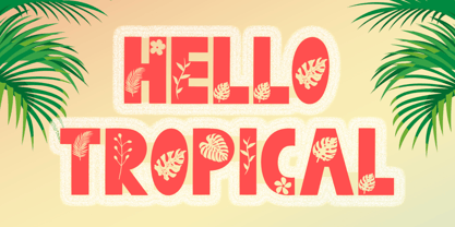 Florida Summer Font Poster 2