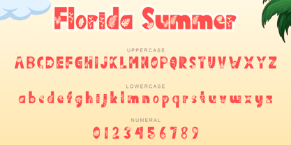 Florida Summer Font Poster 6