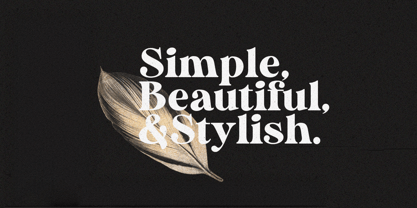 Duke Charming Font Poster 5