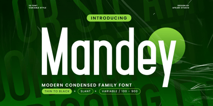 Mandey Font Poster 1