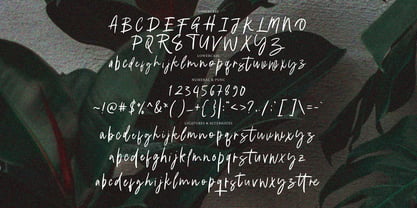 Greminal Signature Brush Font Poster 6