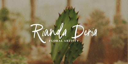 Greminal Signature Brush Font Poster 3