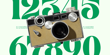 Master Gedon Font Poster 9