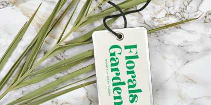 Master Gedon Font Poster 4