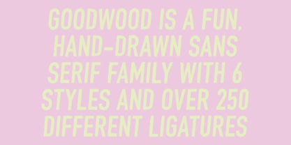Goodwood Font Poster 6