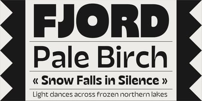 Facers Font Poster 11