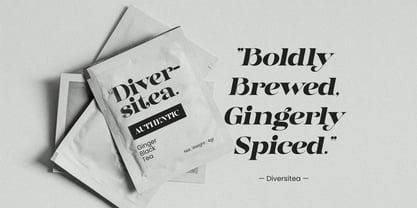 Dynasti Display Font Poster 4