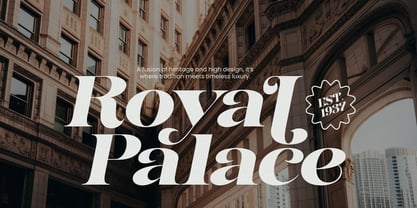 Dynasti Display Font Poster 2