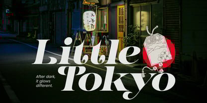 Dynasti Display Font Poster 8