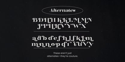 Dynasti Display Font Poster 11