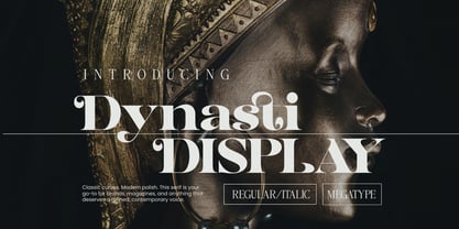 Dynasti Display Font Poster 1