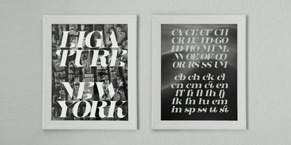 Dynasti Display Font Poster 10