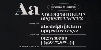 Dynasti Display Font Poster 9