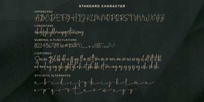 Southelia Font Poster 10
