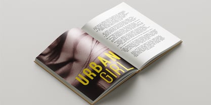 Borela Font Poster 9