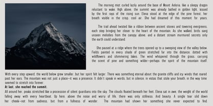 Borela Font Poster 8