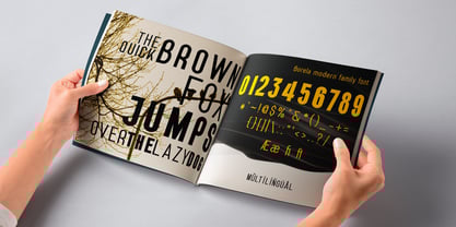 Borela Font Poster 11
