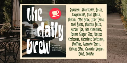 Praxielle Font Poster 6