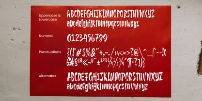 Praxielle Font Poster 7