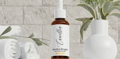 Crisella & William Font Poster 3