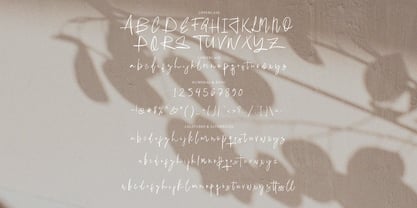 Pregati Signature Font Poster 11