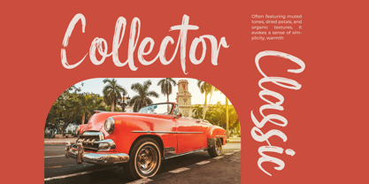 Mayory Overlag Font Poster 9