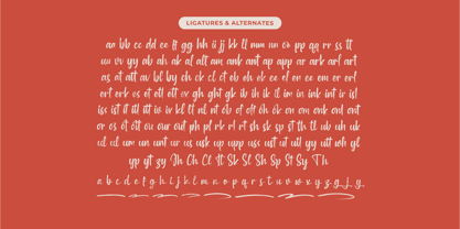 Mayory Overlag Font Poster 14