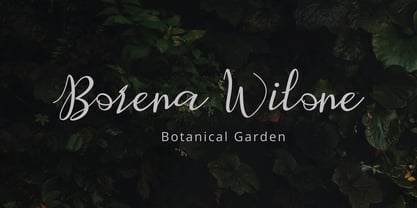 Retafia Script Font Poster 4