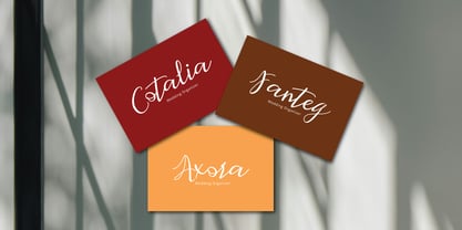 Retafia Script Font Poster 7