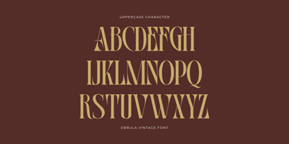 Ebrula Vintage Font Poster 2