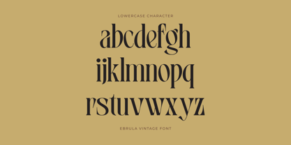 Ebrula Vintage Font Poster 3
