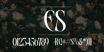 Ebrula Vintage Font Poster 4