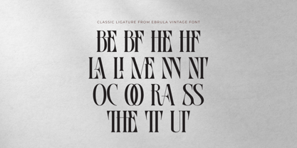 Ebrula Vintage Font Poster 6
