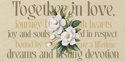 Ebrula Vintage Font Poster 5