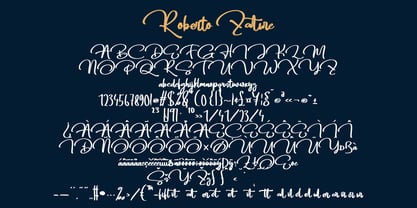 Roberto Zature Font Poster 7