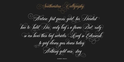 Southwestern Calligraphy Pro Font Poster 2