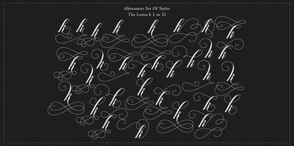 Southwestern Calligraphy Pro Font Poster 14