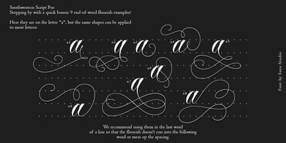 Southwestern Calligraphy Pro Font Poster 8