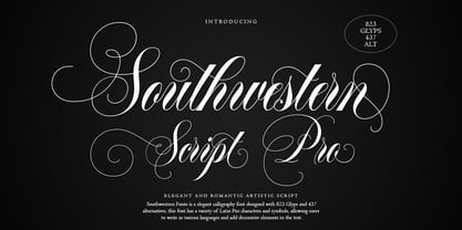 Southwestern Calligraphy Pro Font Poster 1