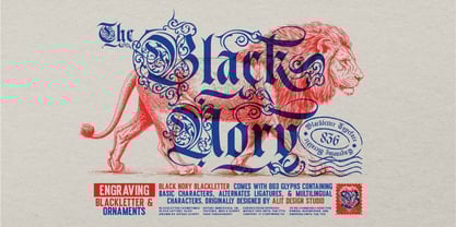 Black Nory Font Poster 1