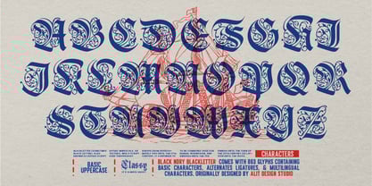 Black Nory Font Poster 5