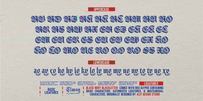 Black Nory Font Poster 15