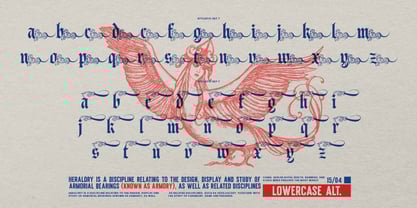 Black Nory Font Poster 14