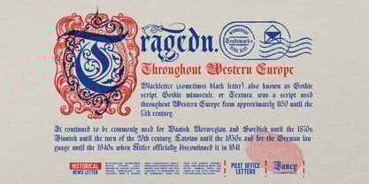 Black Nory Font Poster 9