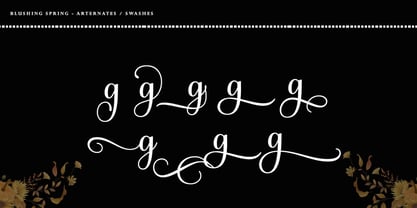 Bulgati Script Font Poster 6