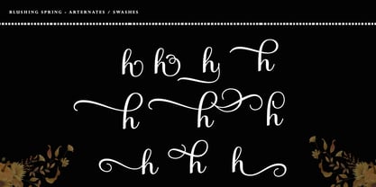 Bulgati Script Font Poster 7