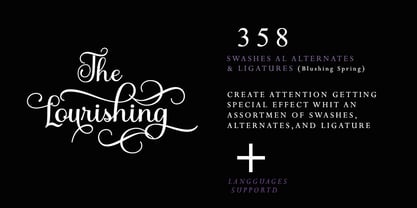 Bulgati Script Font Poster 3