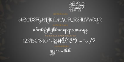Bulgati Script Font Poster 4