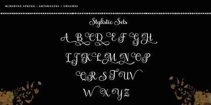 Bulgati Script Font Poster 5