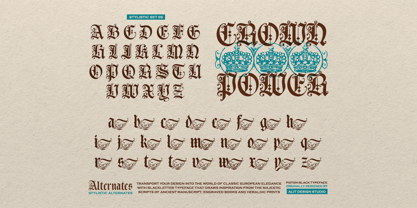 Piston Black Font Poster 12